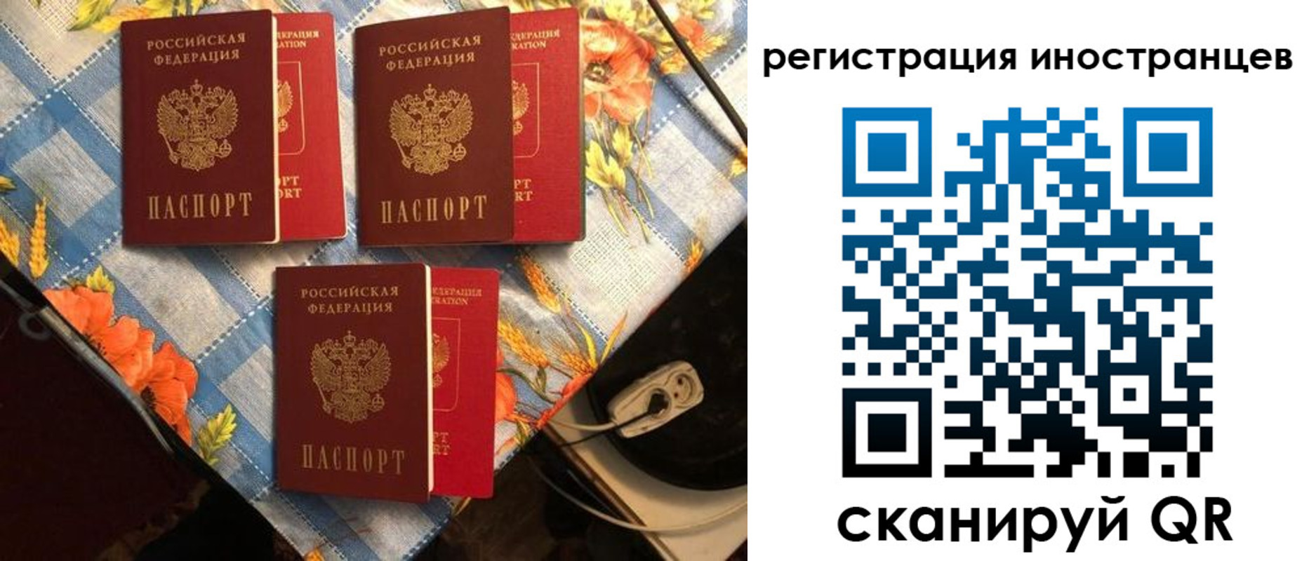 прописка поиск в Зиме